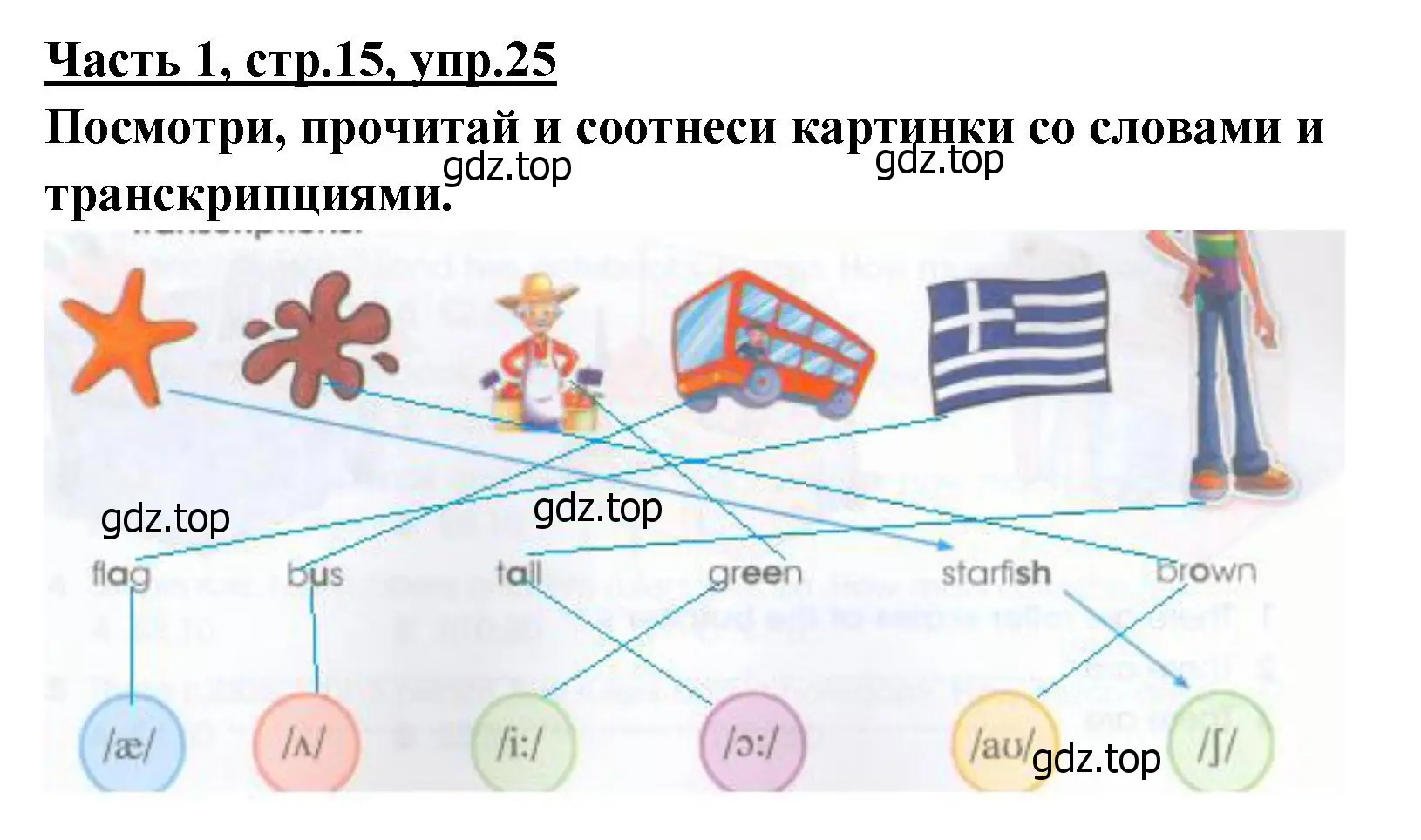 Решение номер 25 (страница 15) гдз по английскому языку 4 класс Баранова, Дули, рабочая тетрадь 1 часть