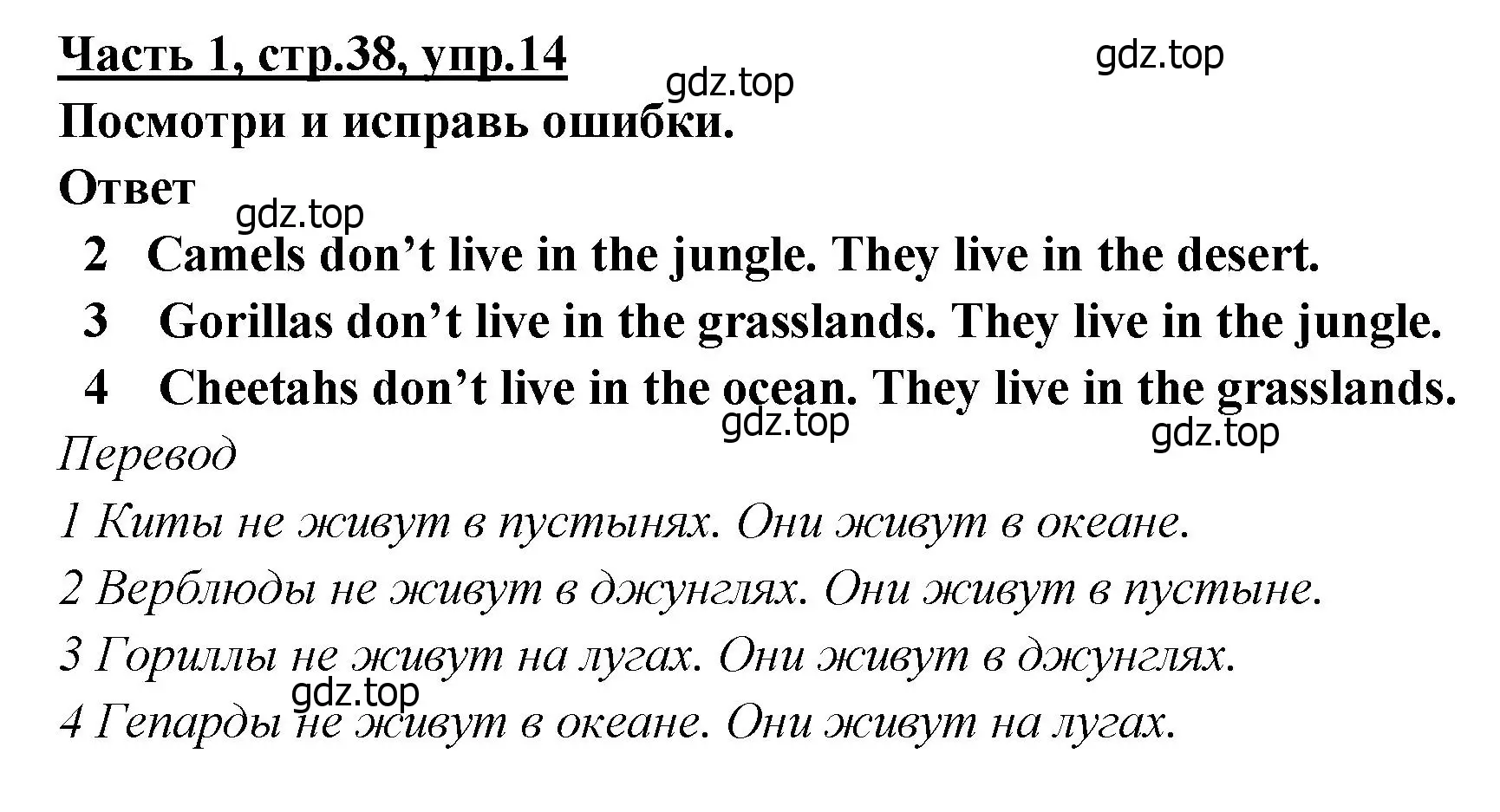 Решение номер 14 (страница 38) гдз по английскому языку 4 класс Баранова, Дули, рабочая тетрадь 1 часть