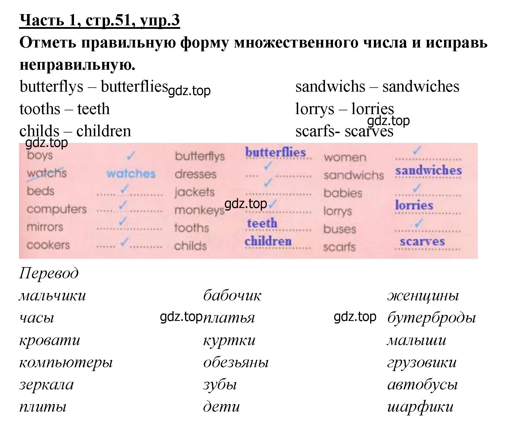 Решение номер 3 (страница 51) гдз по английскому языку 4 класс Баранова, Дули, рабочая тетрадь 1 часть