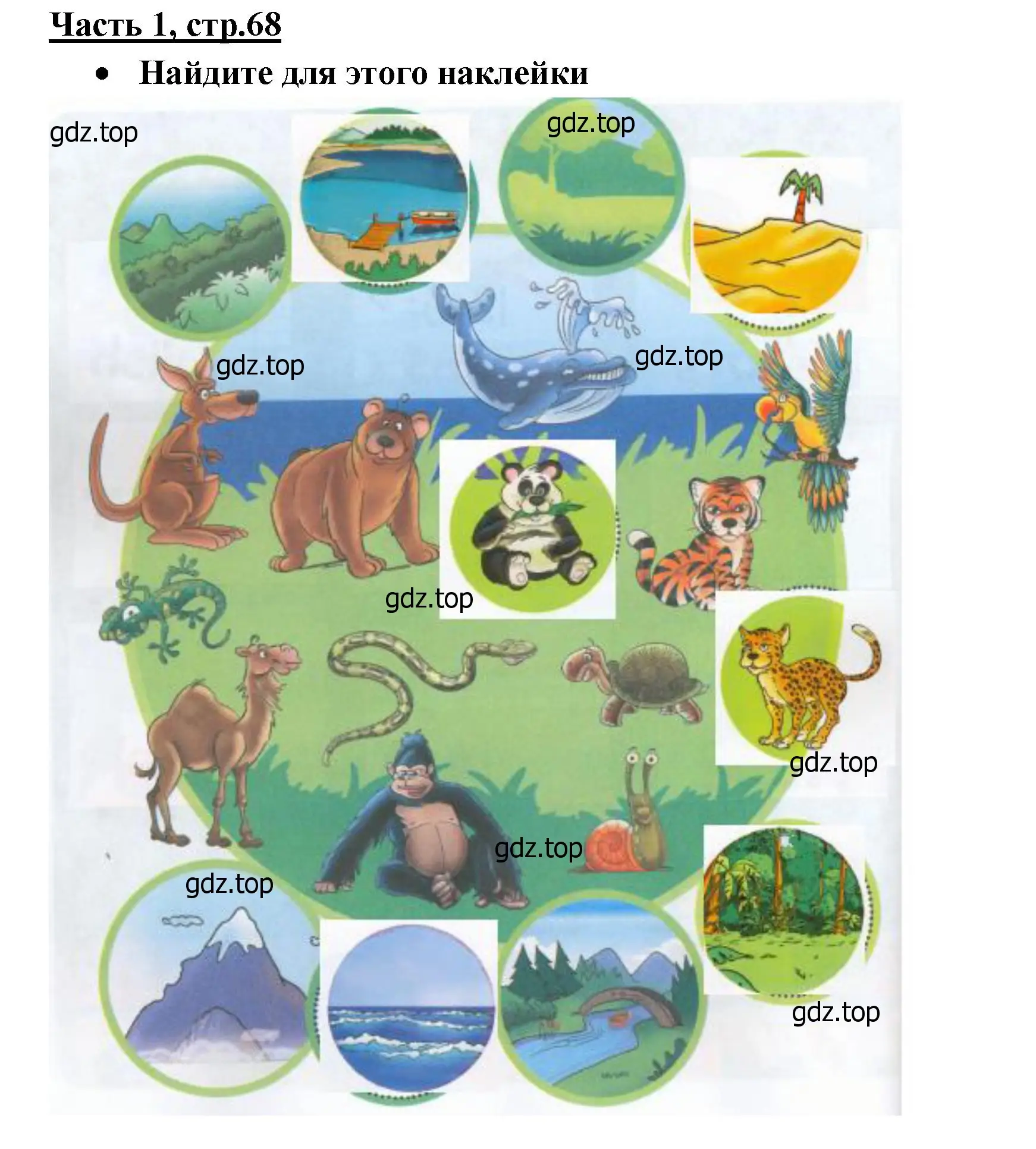 Решение  Animals & Habitats (страница 68) гдз по английскому языку 4 класс Баранова, Дули, рабочая тетрадь 1 часть