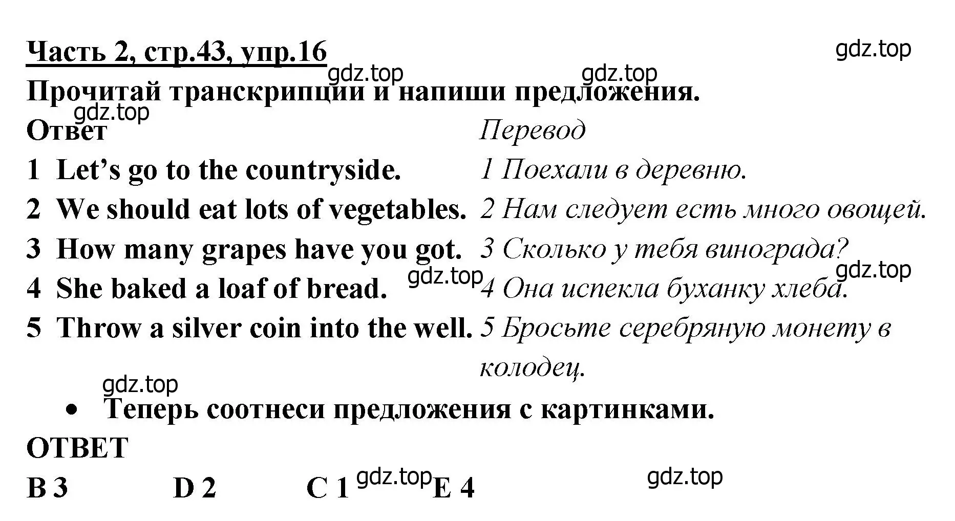 Решение номер 16 (страница 43) гдз по английскому языку 4 класс Баранова, Дули, рабочая тетрадь 2 часть