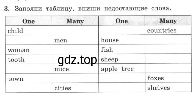 Условие номер 3 (страница 24) гдз по английскому языку 4 класс Биболетова, Денисенко, рабочая тетрадь с контрольными работами