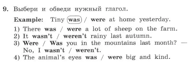 Условие номер 9 (страница 34) гдз по английскому языку 4 класс Биболетова, Денисенко, рабочая тетрадь с контрольными работами