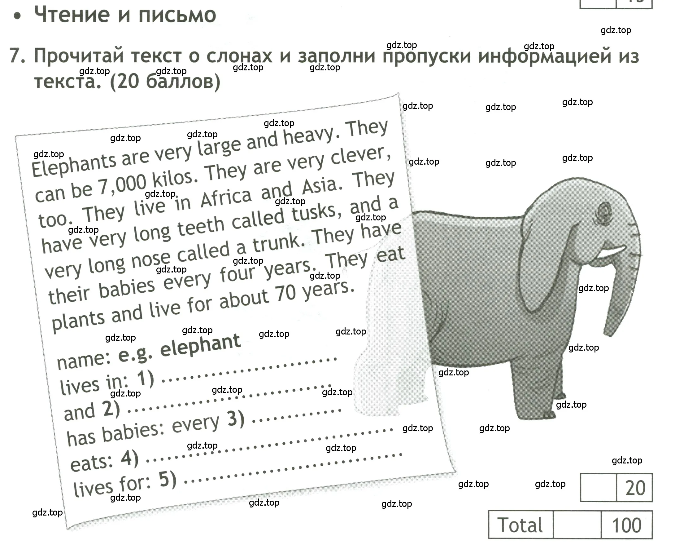 Условие номер 7 (страница 33) гдз по английскому языку 4 класс Быкова, Дули, контрольные задания