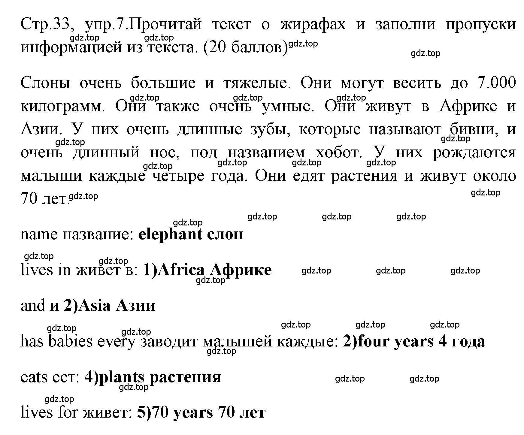 Решение номер 7 (страница 33) гдз по английскому языку 4 класс Быкова, Дули, контрольные задания