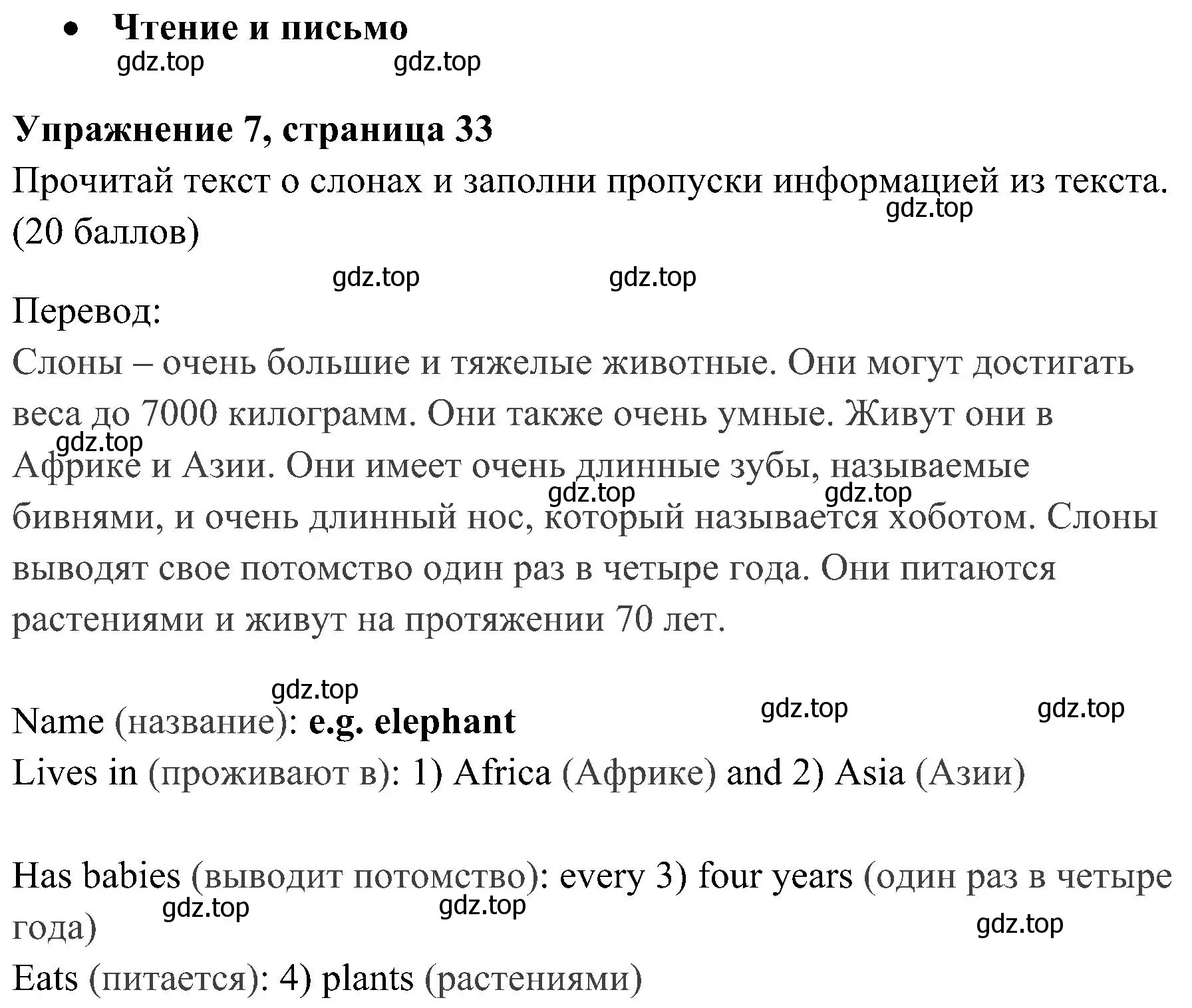 Решение 2. номер 7 (страница 33) гдз по английскому языку 4 класс Быкова, Дули, контрольные задания