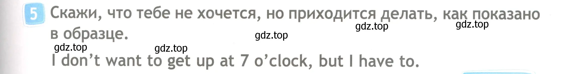 Условие номер 5 (страница 17) гдз по английскому языку 4 класс Быкова, Дули, рабочая тетрадь