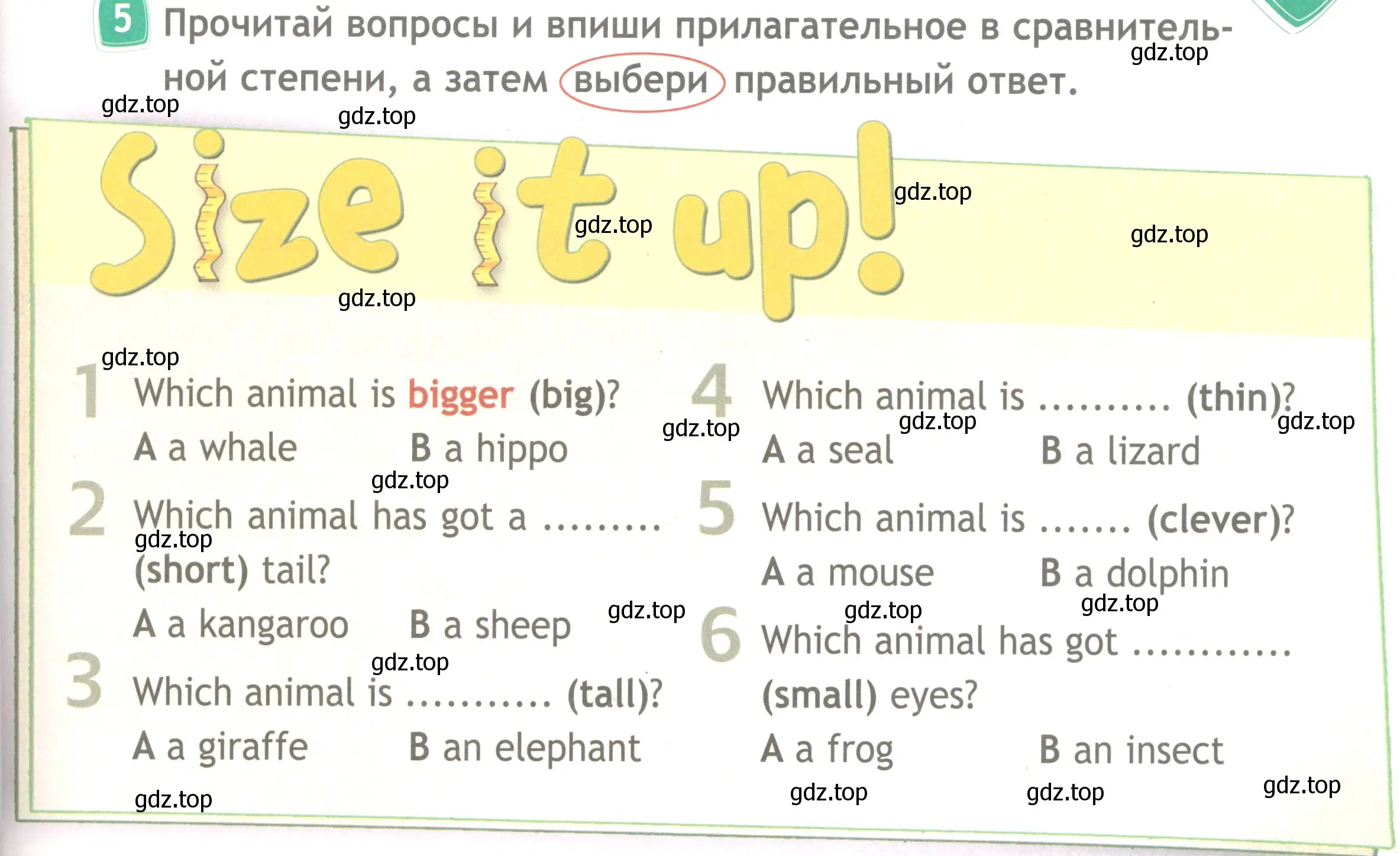 Условие номер 5 (страница 33) гдз по английскому языку 4 класс Быкова, Дули, рабочая тетрадь