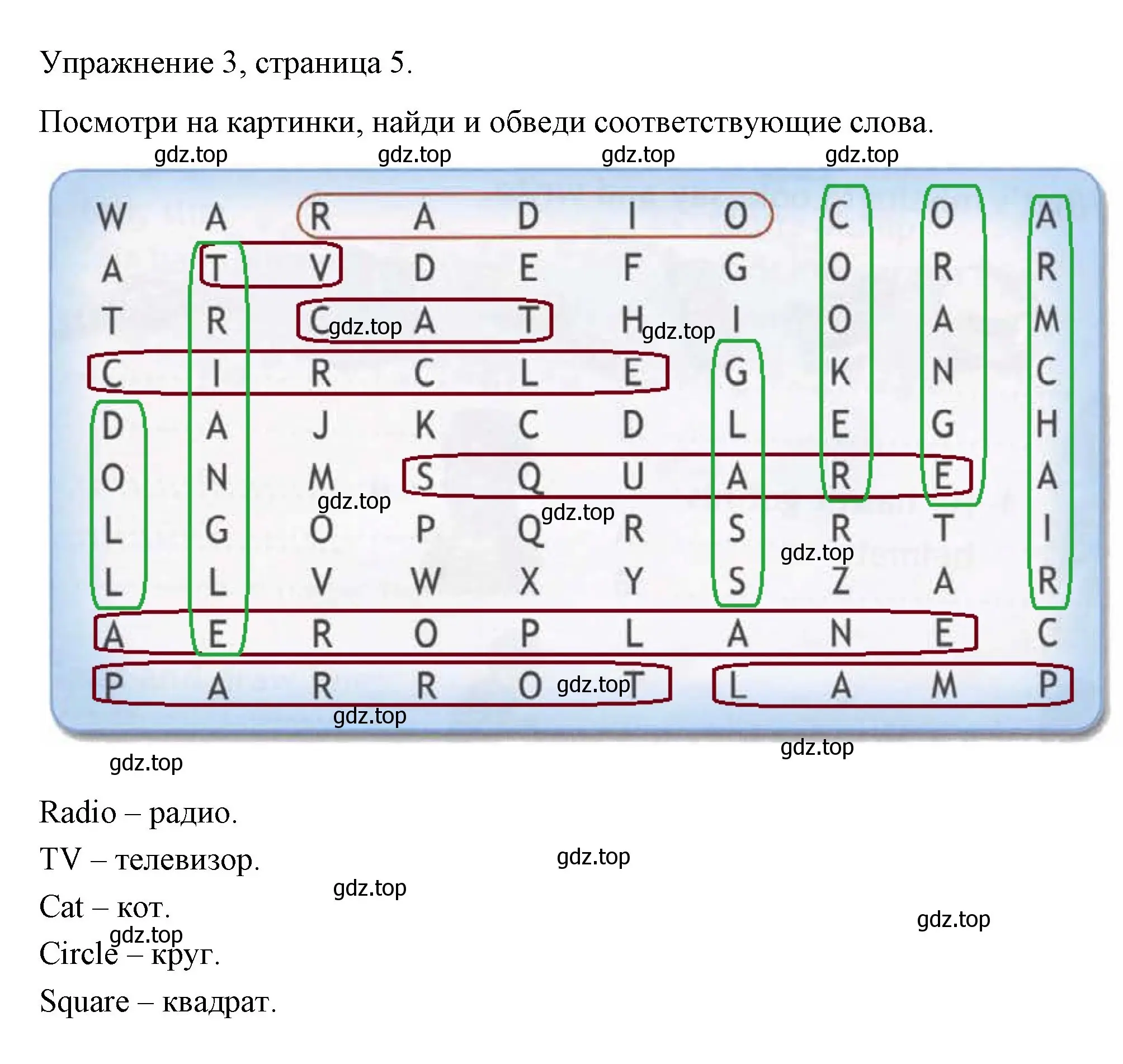 Решение номер 3 (страница 5) гдз по английскому языку 4 класс Быкова, Дули, рабочая тетрадь