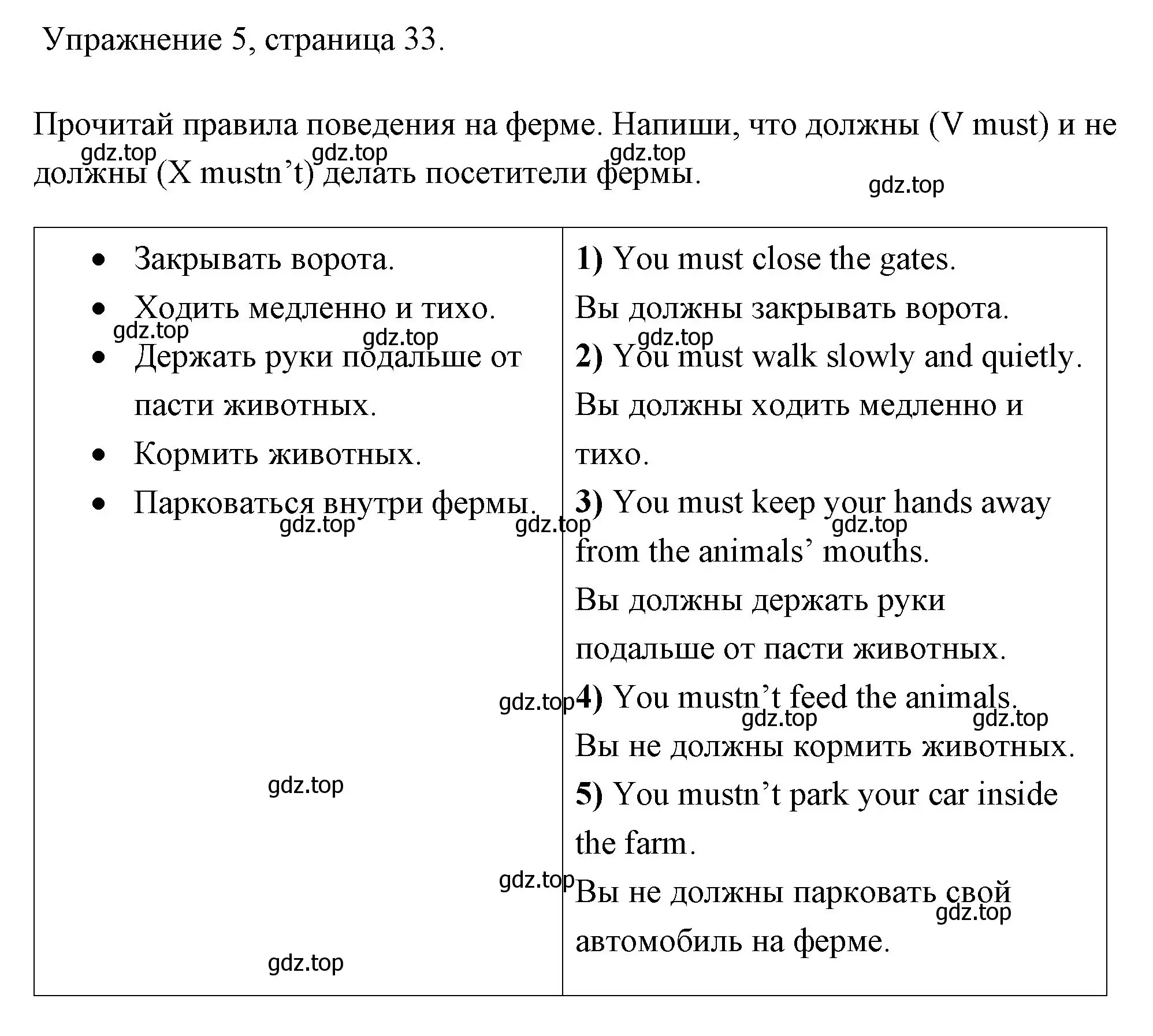 Решение номер 6 (страница 33) гдз по английскому языку 4 класс Быкова, Дули, рабочая тетрадь