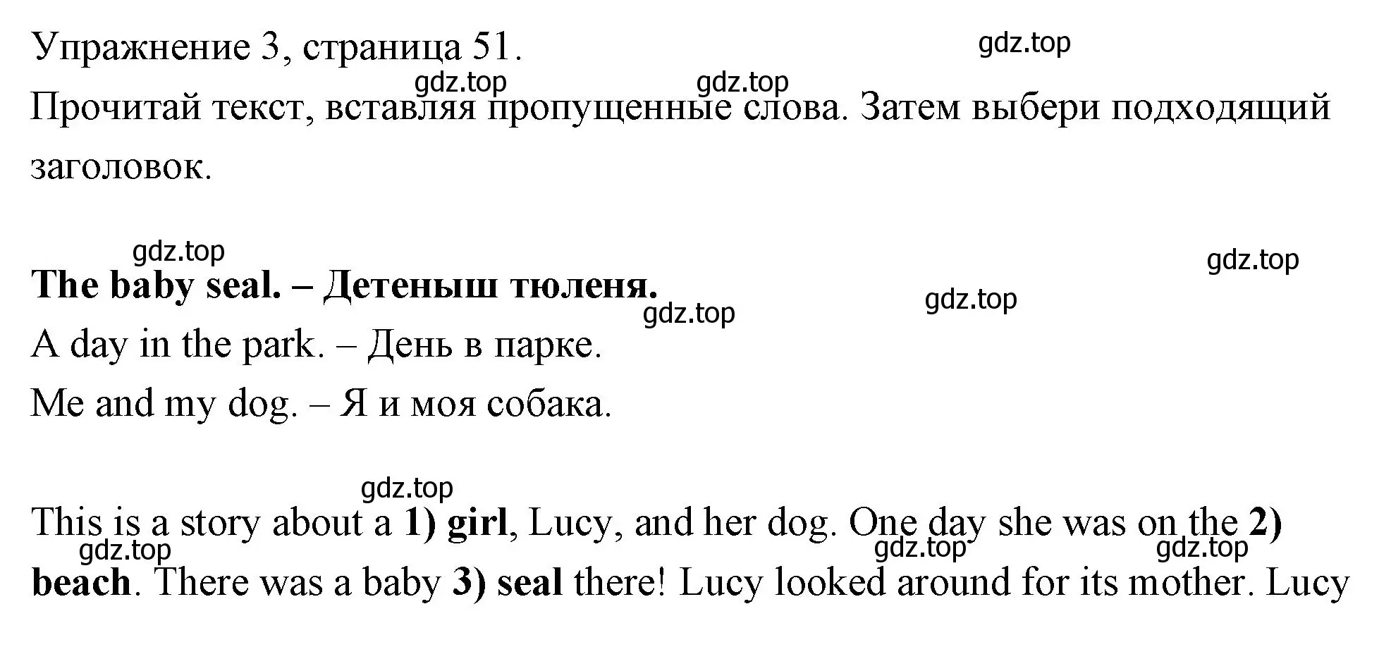 Решение номер 3 (страница 51) гдз по английскому языку 4 класс Быкова, Дули, рабочая тетрадь