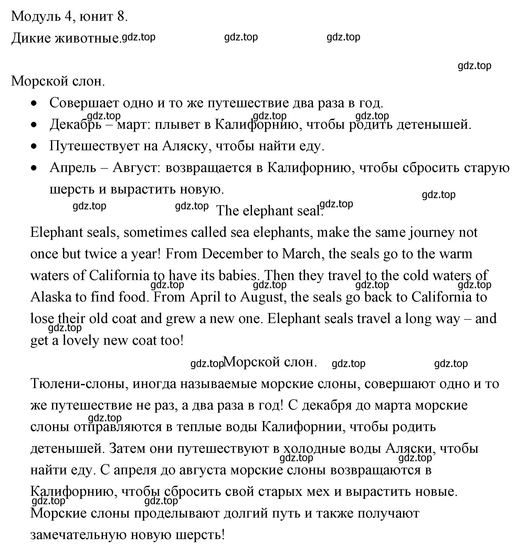 Решение номер 4 (страница 74) гдз по английскому языку 4 класс Быкова, Дули, рабочая тетрадь