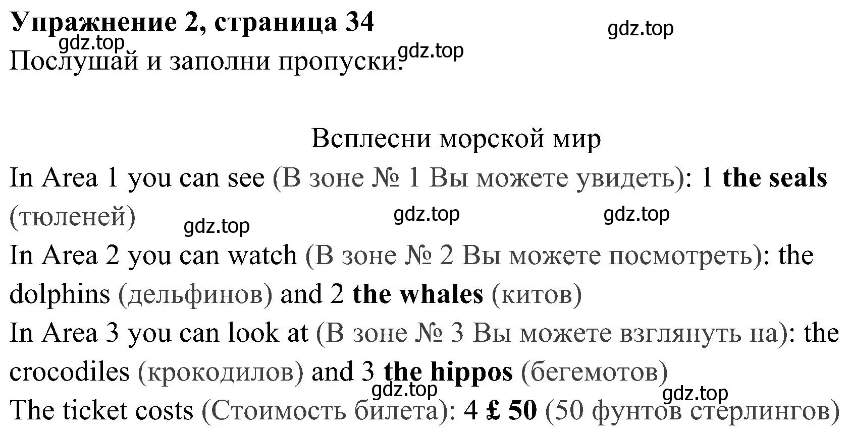 Решение 2. номер 2 (страница 34) гдз по английскому языку 4 класс Быкова, Дули, рабочая тетрадь