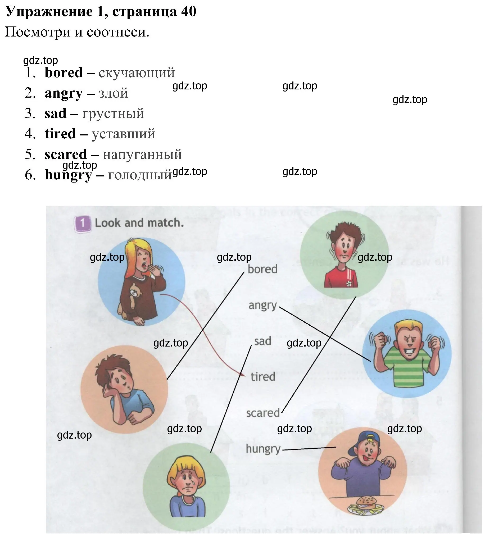 Решение 2. номер 1 (страница 40) гдз по английскому языку 4 класс Быкова, Дули, рабочая тетрадь