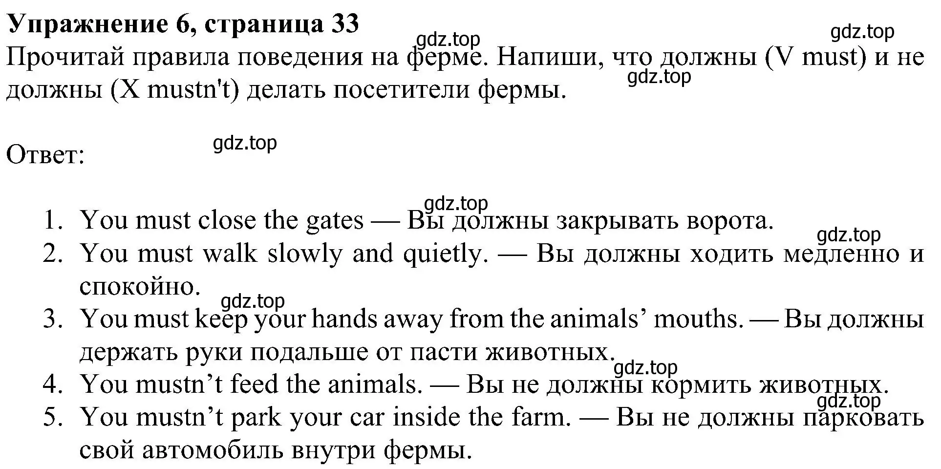 Решение 3. номер 6 (страница 33) гдз по английскому языку 4 класс Быкова, Дули, рабочая тетрадь