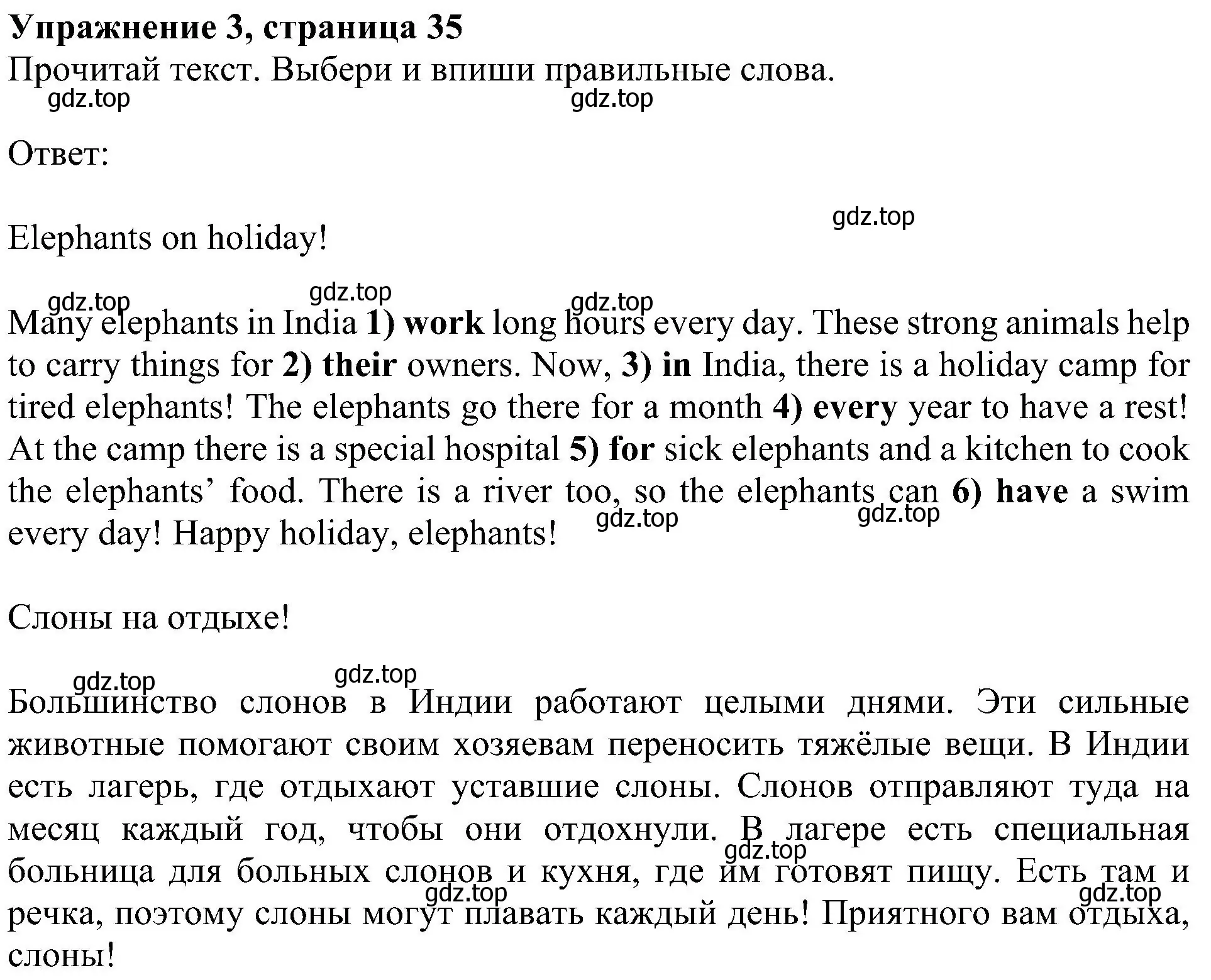 Решение 3. номер 3 (страница 35) гдз по английскому языку 4 класс Быкова, Дули, рабочая тетрадь