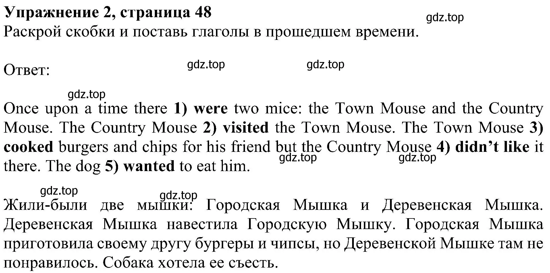 Решение 3. номер 2 (страница 48) гдз по английскому языку 4 класс Быкова, Дули, рабочая тетрадь