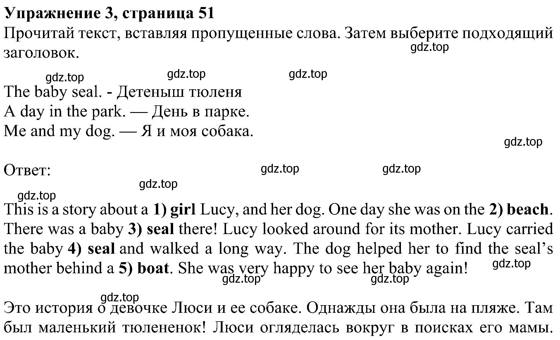 Решение 3. номер 3 (страница 51) гдз по английскому языку 4 класс Быкова, Дули, рабочая тетрадь