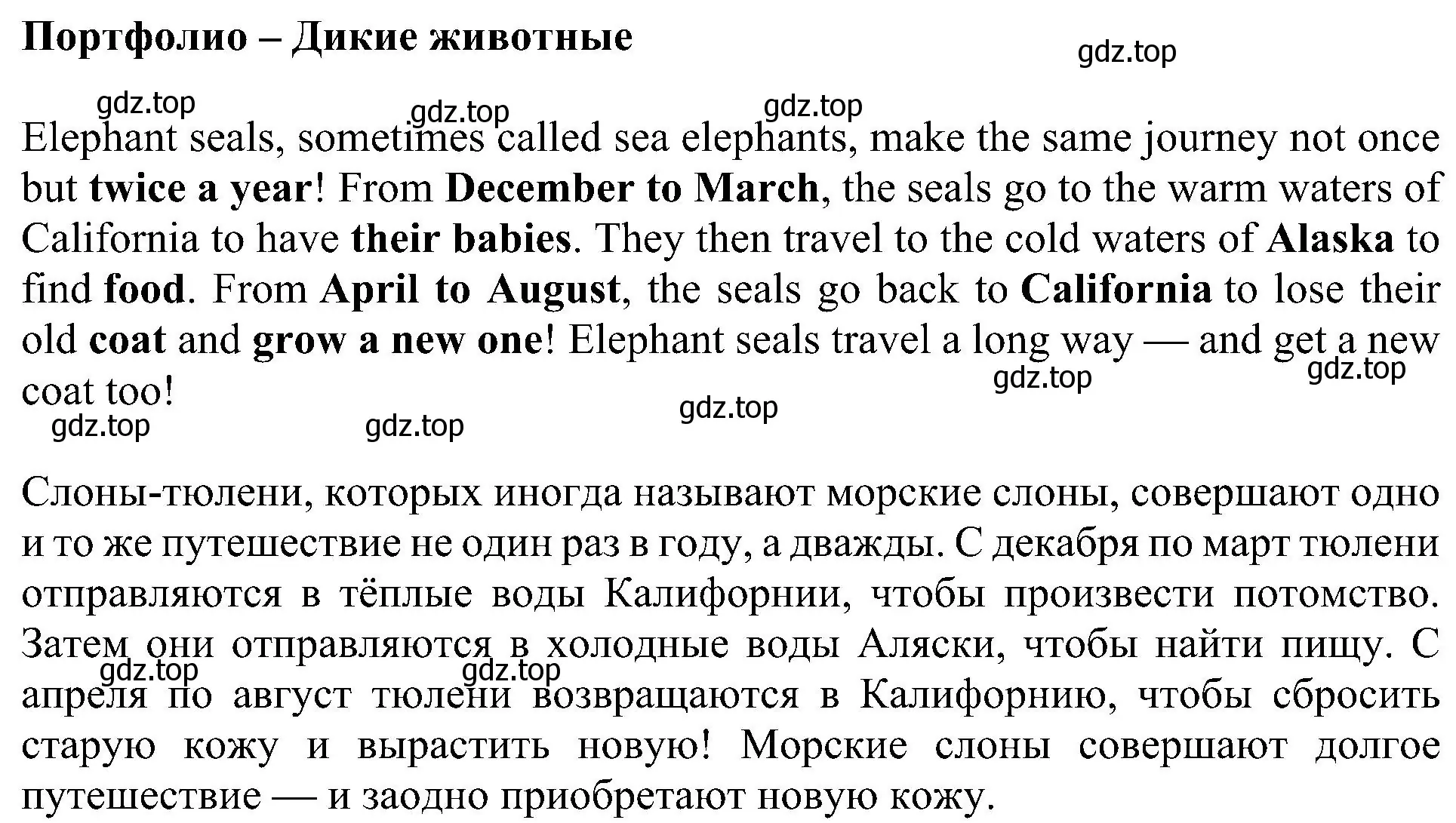 Решение 3. номер 4 (страница 74) гдз по английскому языку 4 класс Быкова, Дули, рабочая тетрадь