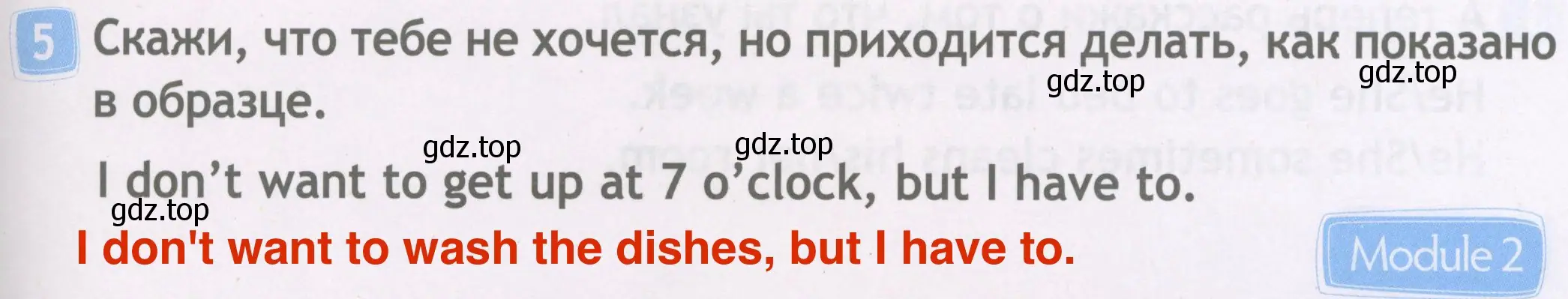 Решение 4. номер 5 (страница 17) гдз по английскому языку 4 класс Быкова, Дули, рабочая тетрадь