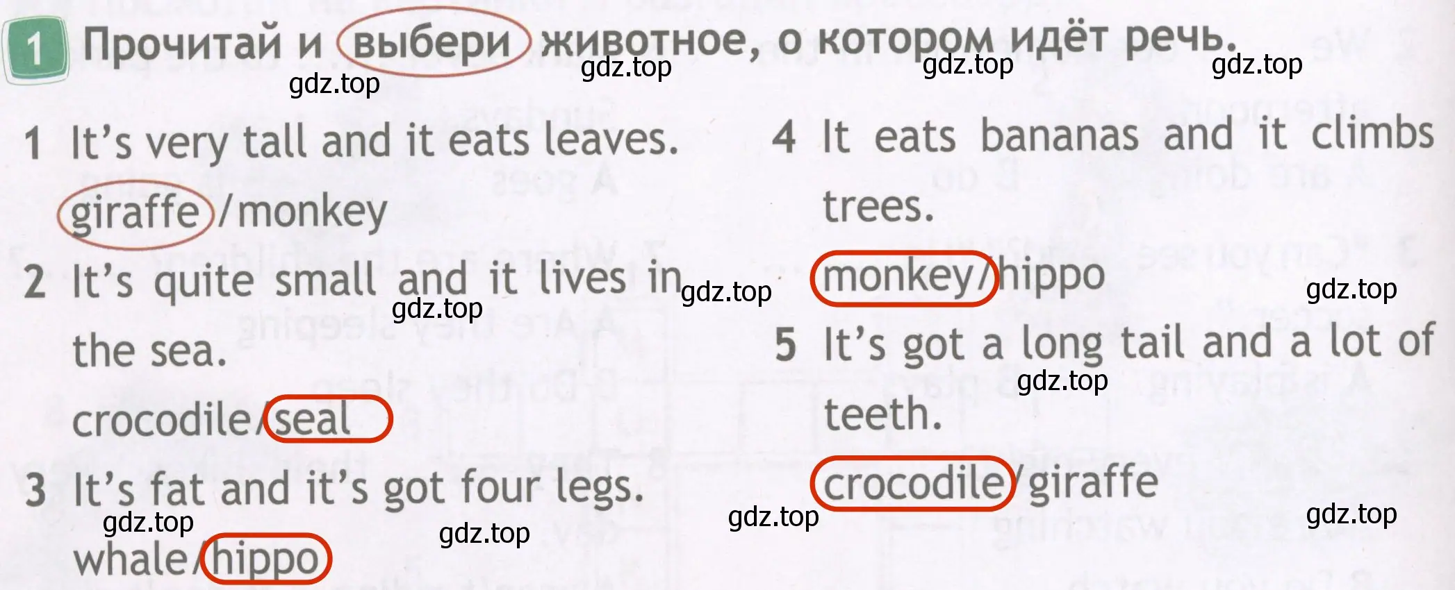 Решение 4. номер 1 (страница 32) гдз по английскому языку 4 класс Быкова, Дули, рабочая тетрадь