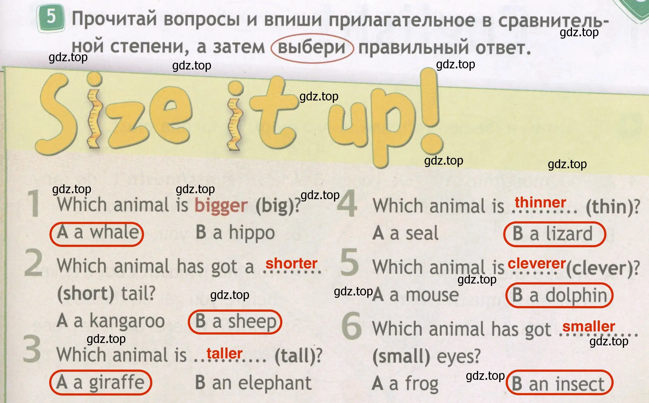 Решение 4. номер 5 (страница 33) гдз по английскому языку 4 класс Быкова, Дули, рабочая тетрадь