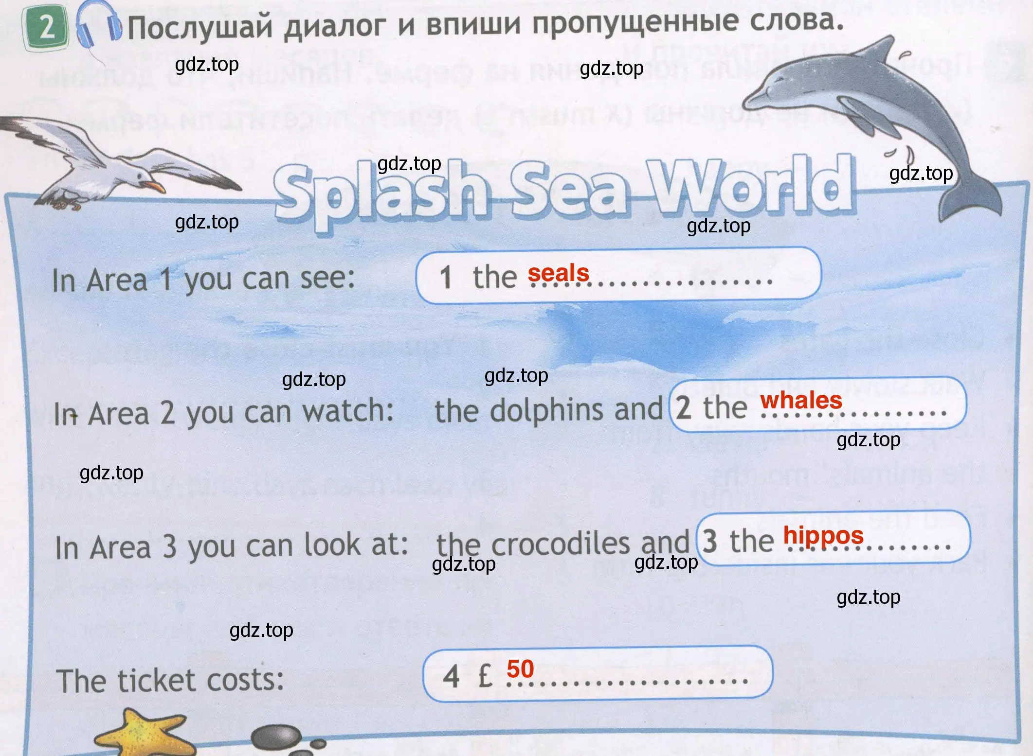 Решение 4. номер 2 (страница 34) гдз по английскому языку 4 класс Быкова, Дули, рабочая тетрадь