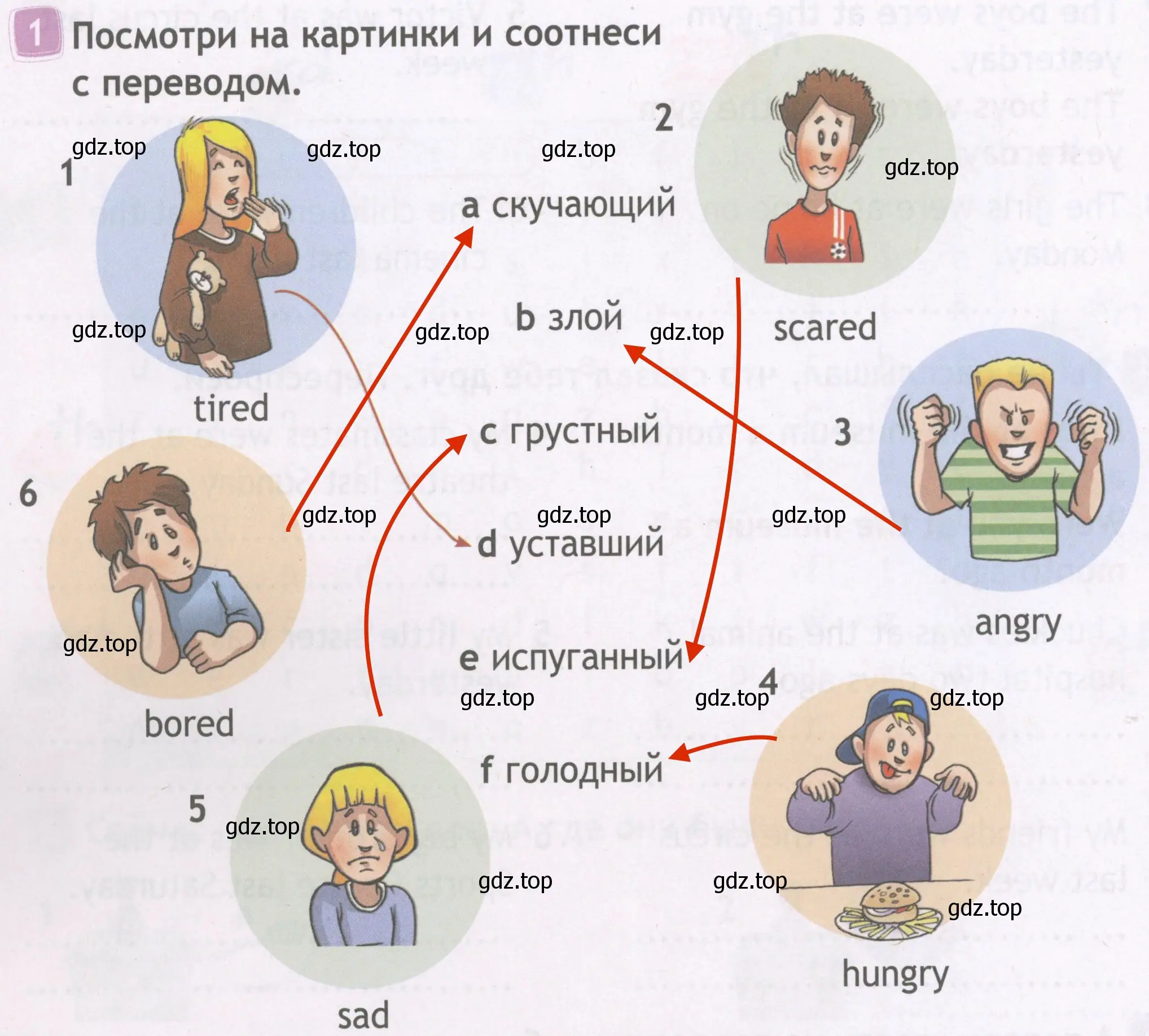 Решение 4. номер 1 (страница 40) гдз по английскому языку 4 класс Быкова, Дули, рабочая тетрадь