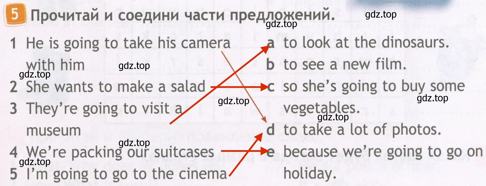 Решение 4. номер 5 (страница 63) гдз по английскому языку 4 класс Быкова, Дули, рабочая тетрадь