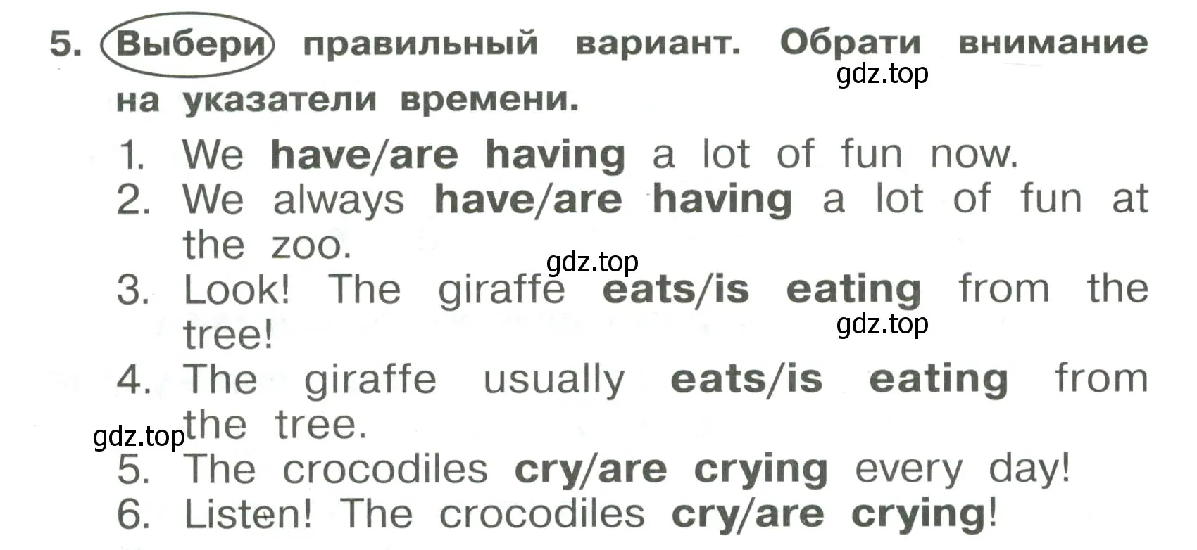 Условие номер 5 (страница 64) гдз по английскому языку 4 класс Быкова, Поспелова, сборник упражнений