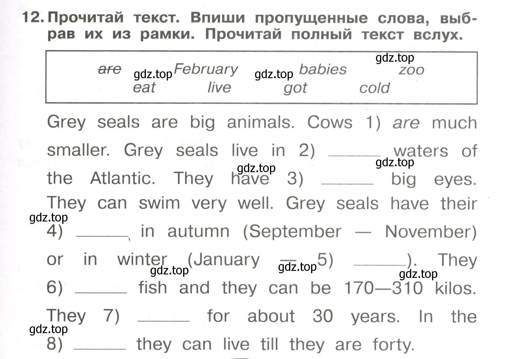 Условие номер 12 (страница 73) гдз по английскому языку 4 класс Быкова, Поспелова, сборник упражнений