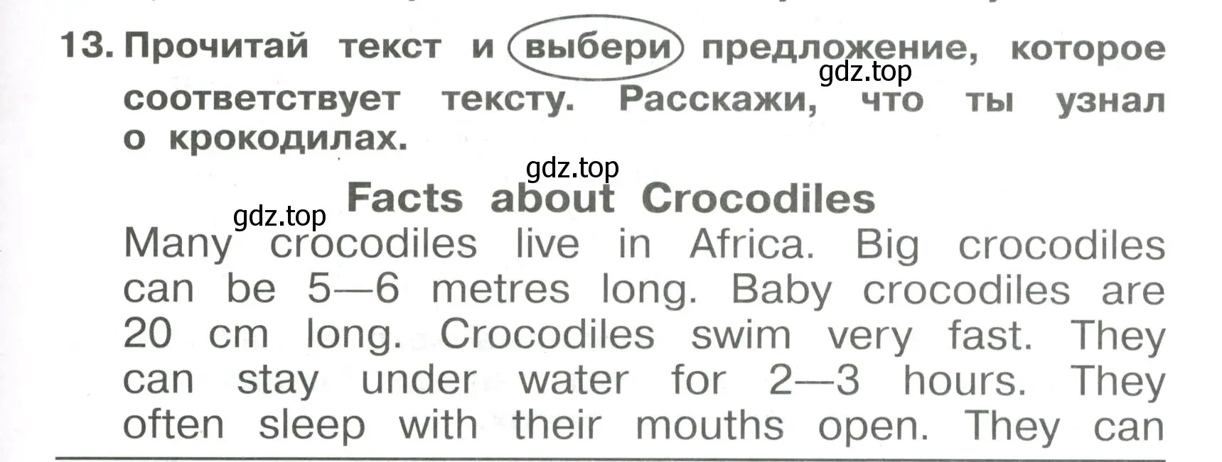 Условие номер 13 (страница 73) гдз по английскому языку 4 класс Быкова, Поспелова, сборник упражнений