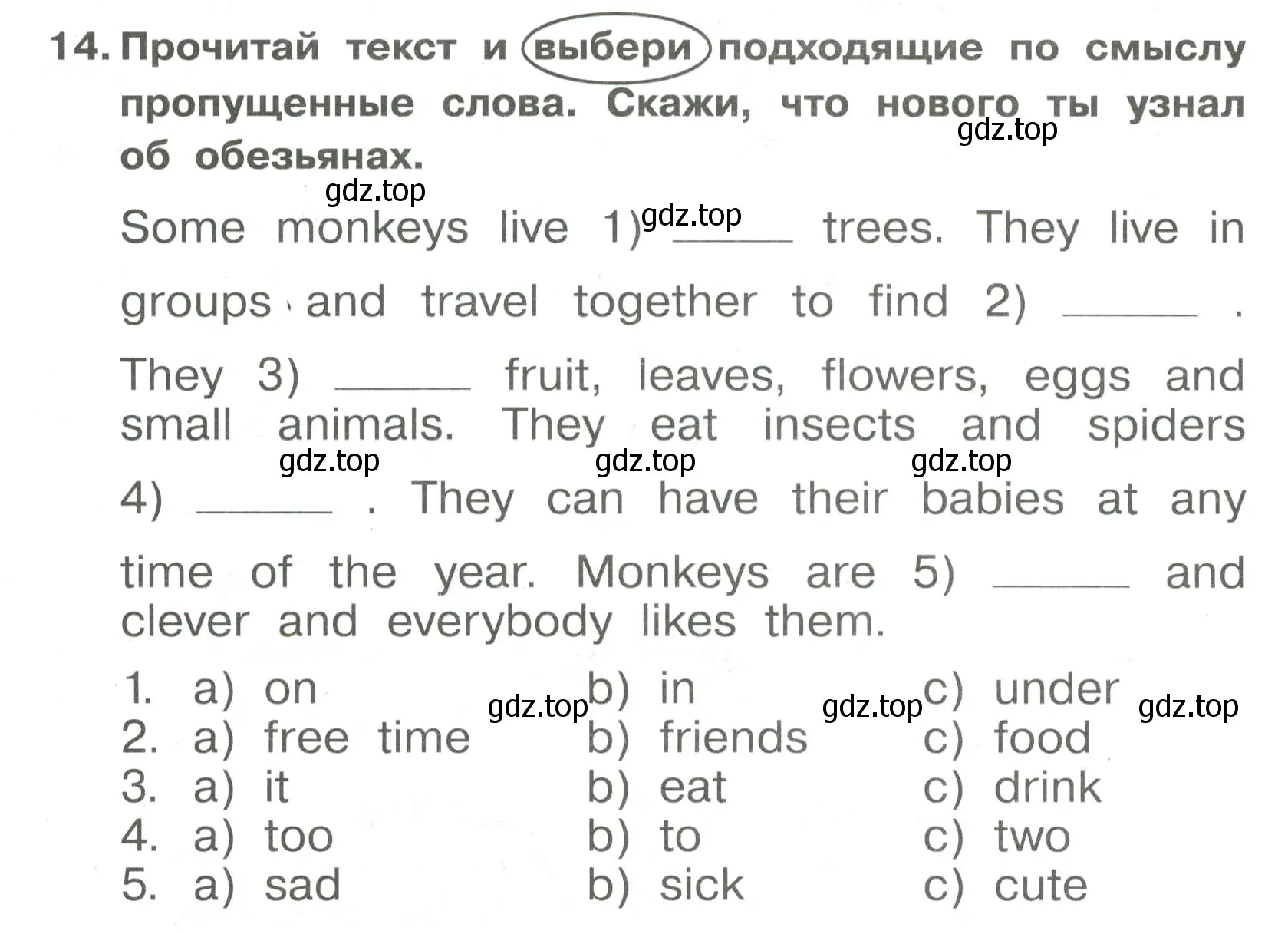 Условие номер 14 (страница 74) гдз по английскому языку 4 класс Быкова, Поспелова, сборник упражнений