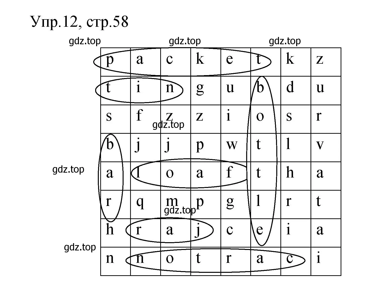 Решение номер 12 (страница 58) гдз по английскому языку 4 класс Быкова, Поспелова, сборник упражнений