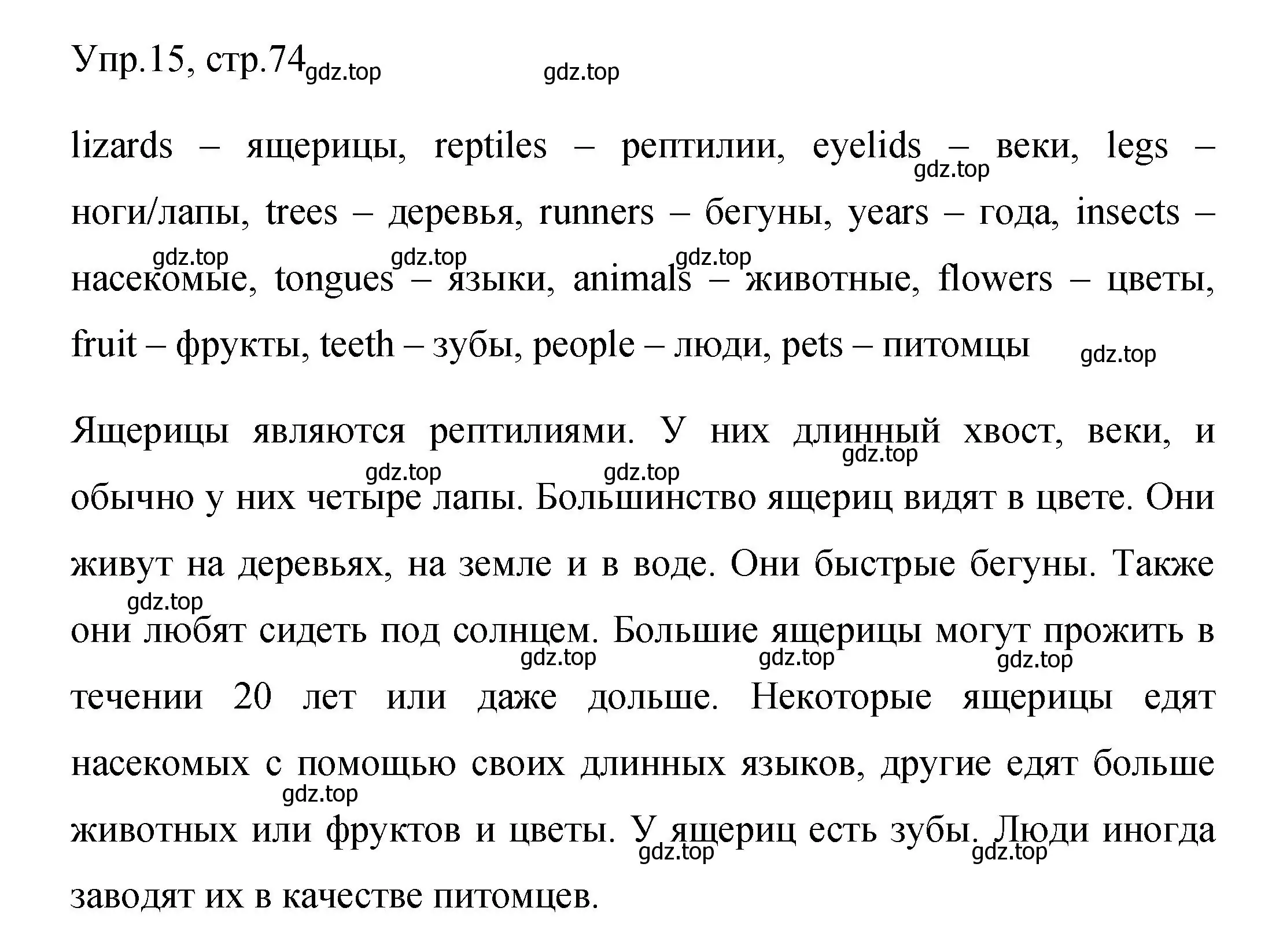 Решение номер 15 (страница 74) гдз по английскому языку 4 класс Быкова, Поспелова, сборник упражнений