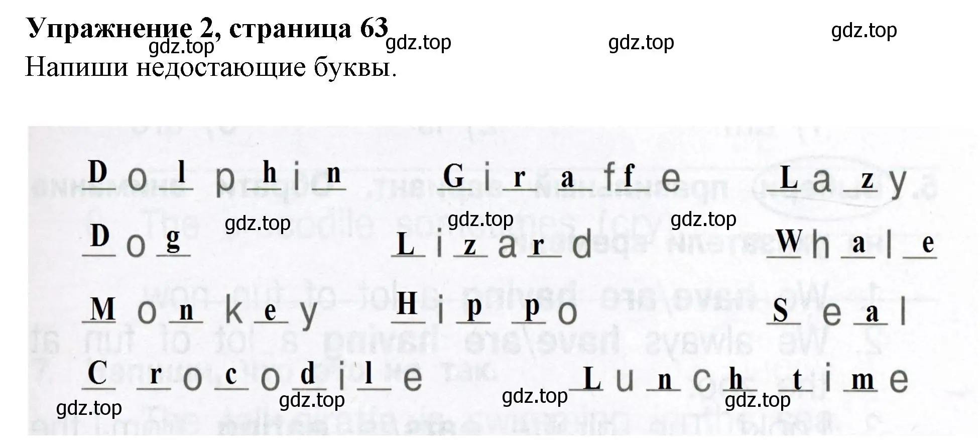 Решение 2. номер 2 (страница 63) гдз по английскому языку 4 класс Быкова, Поспелова, сборник упражнений