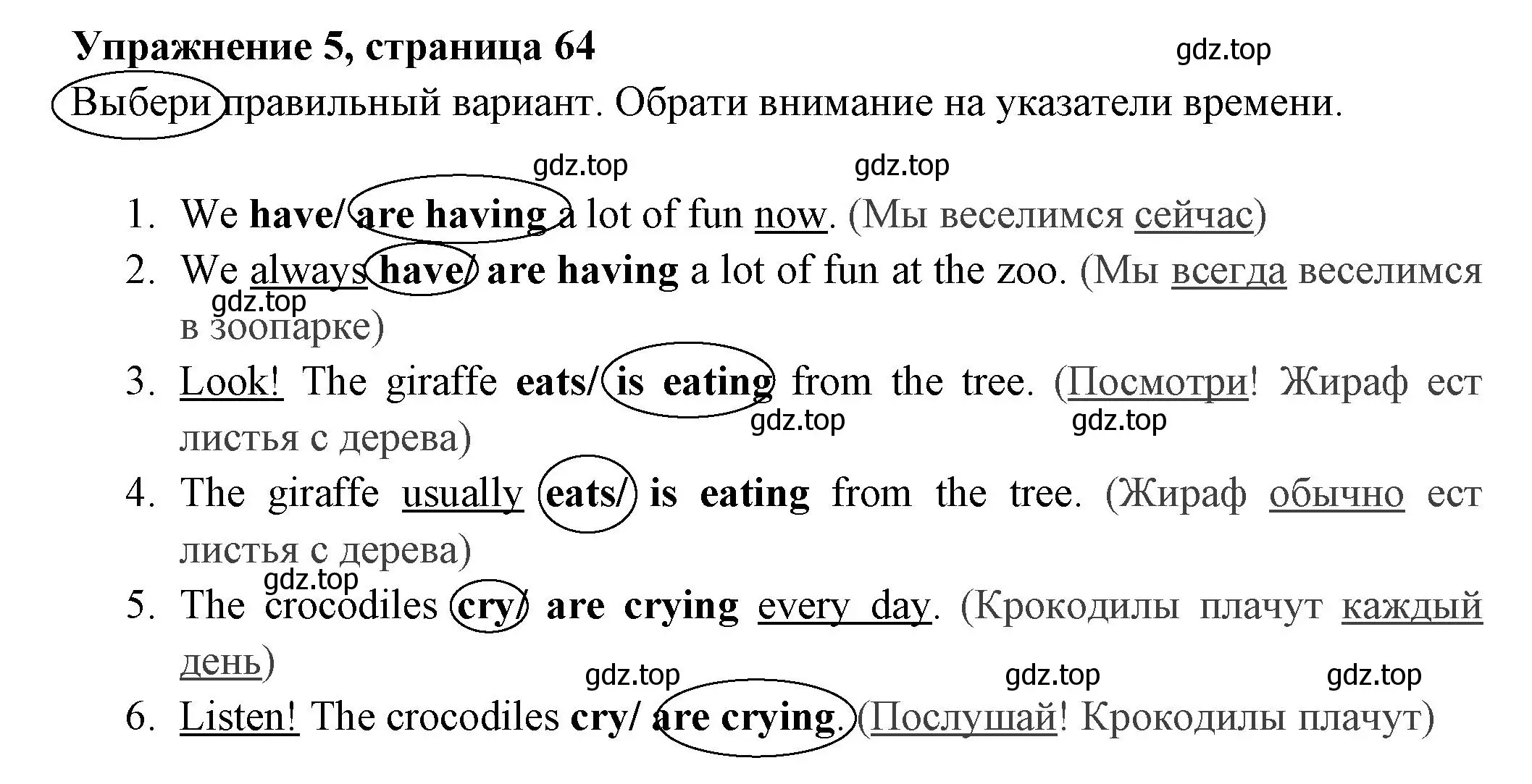 Решение 2. номер 5 (страница 64) гдз по английскому языку 4 класс Быкова, Поспелова, сборник упражнений