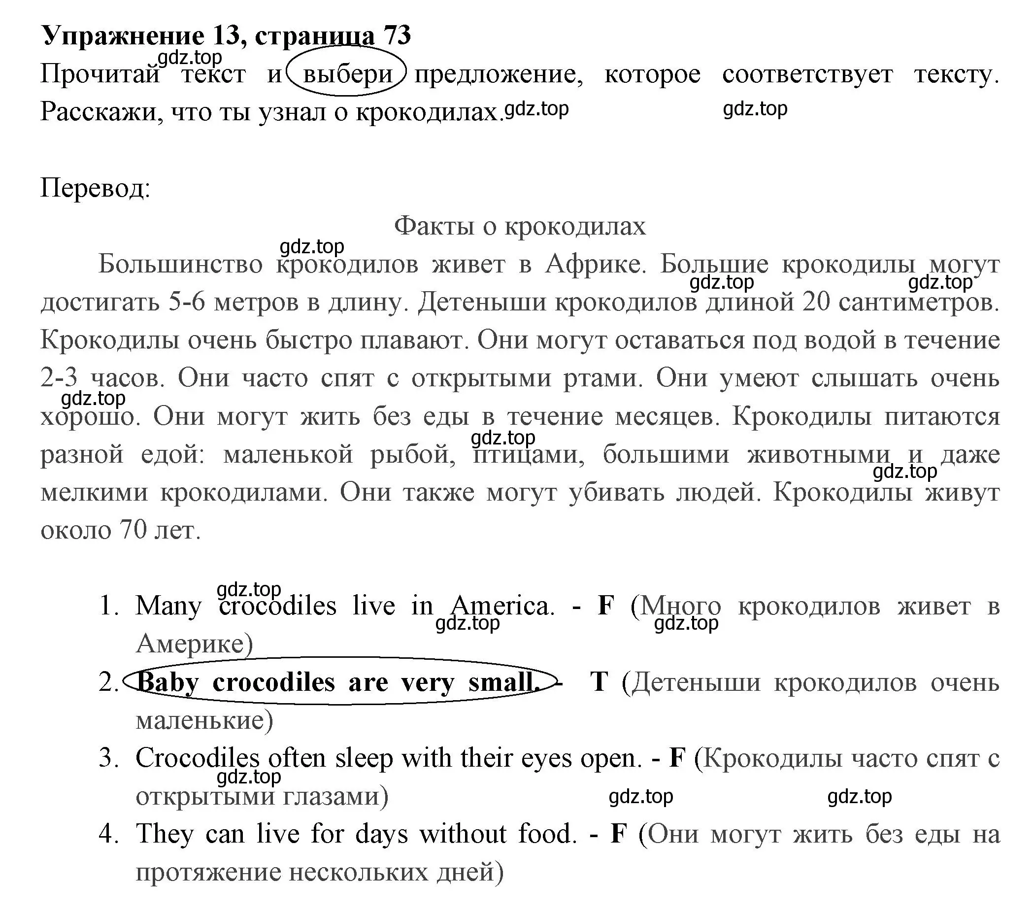 Решение 2. номер 13 (страница 73) гдз по английскому языку 4 класс Быкова, Поспелова, сборник упражнений