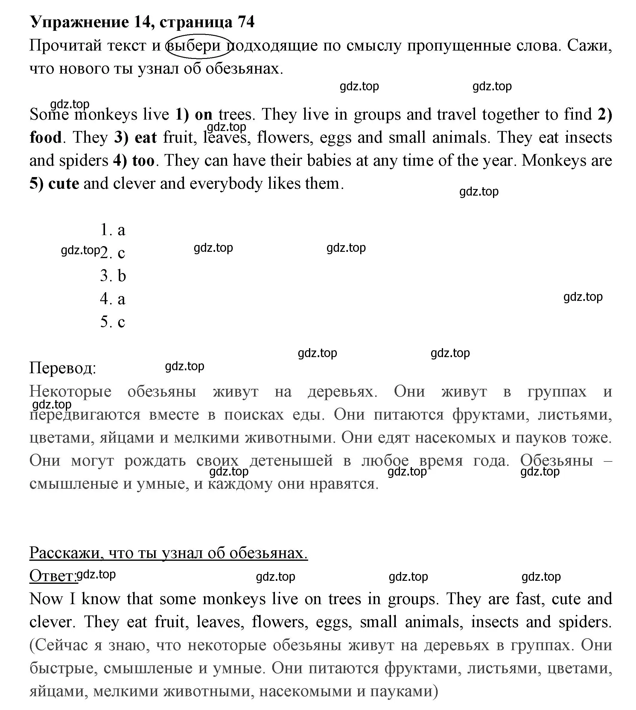 Решение 2. номер 14 (страница 74) гдз по английскому языку 4 класс Быкова, Поспелова, сборник упражнений