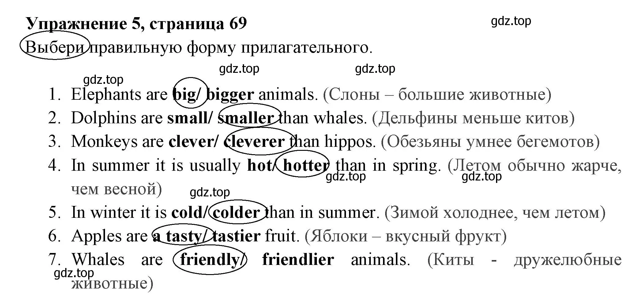 Решение 2. номер 5 (страница 69) гдз по английскому языку 4 класс Быкова, Поспелова, сборник упражнений