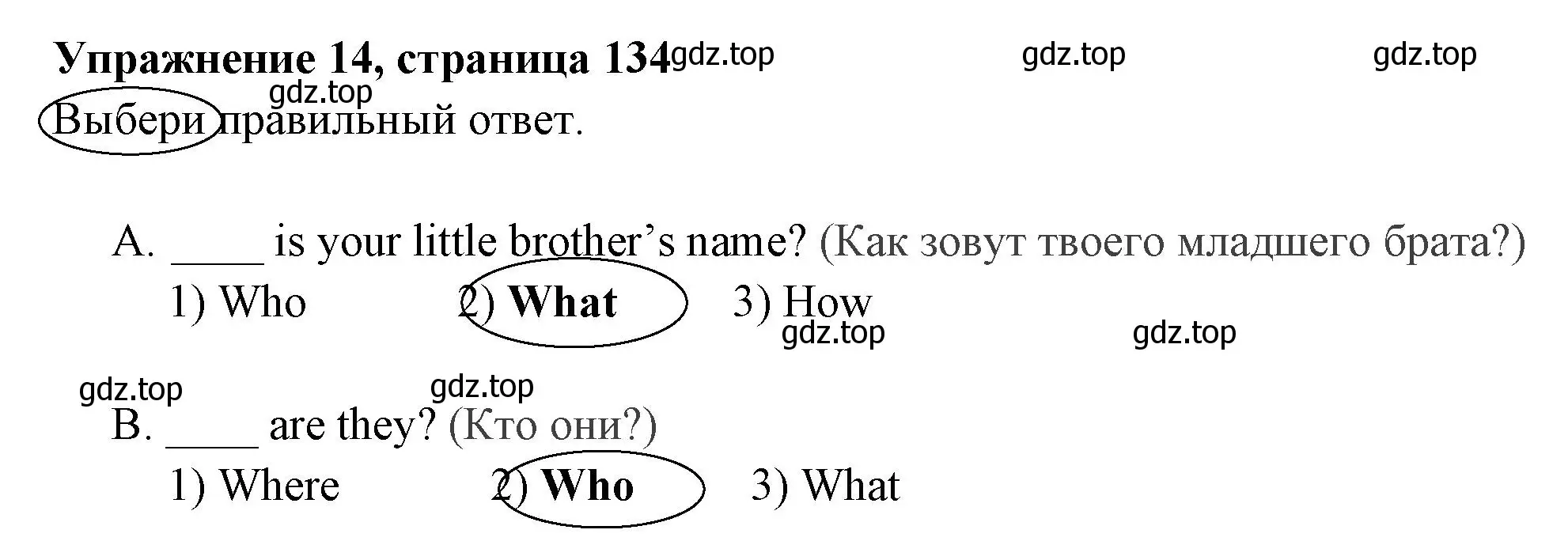 Решение 2. номер 14 (страница 134) гдз по английскому языку 4 класс Быкова, Поспелова, сборник упражнений