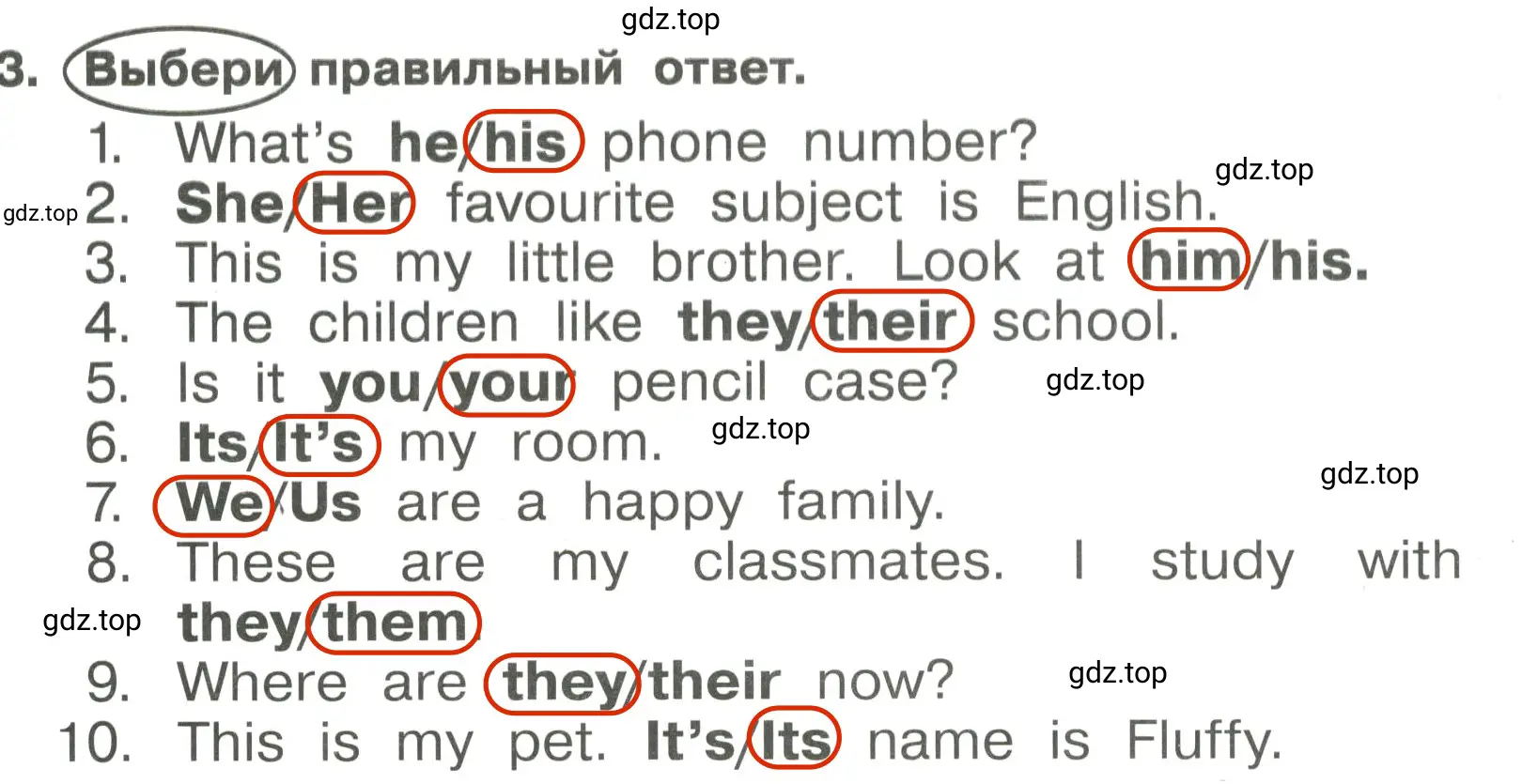 Решение 3. номер 3 (страница 6) гдз по английскому языку 4 класс Быкова, Поспелова, сборник упражнений