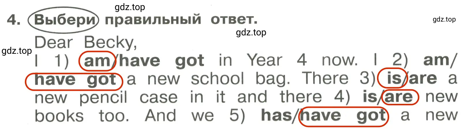 Решение 3. номер 4 (страница 19) гдз по английскому языку 4 класс Быкова, Поспелова, сборник упражнений