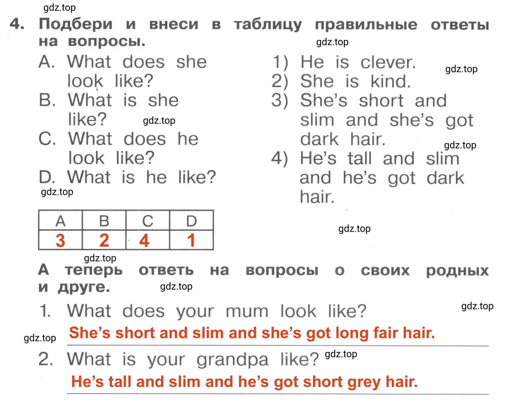 Решение 3. номер 4 (страница 24) гдз по английскому языку 4 класс Быкова, Поспелова, сборник упражнений