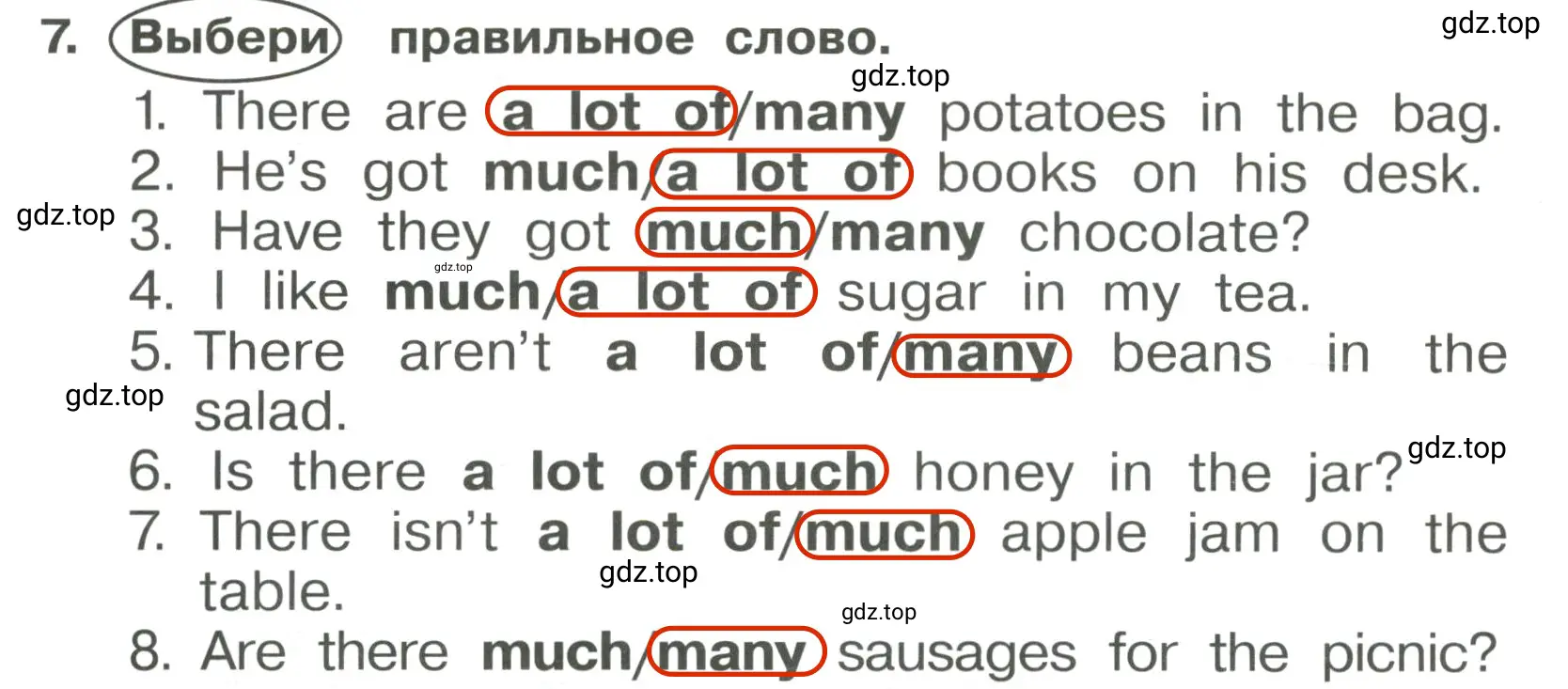 Решение 3. номер 7 (страница 56) гдз по английскому языку 4 класс Быкова, Поспелова, сборник упражнений