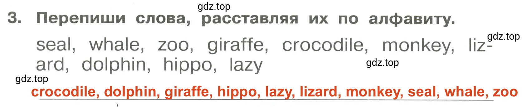 Решение 3. номер 3 (страница 63) гдз по английскому языку 4 класс Быкова, Поспелова, сборник упражнений