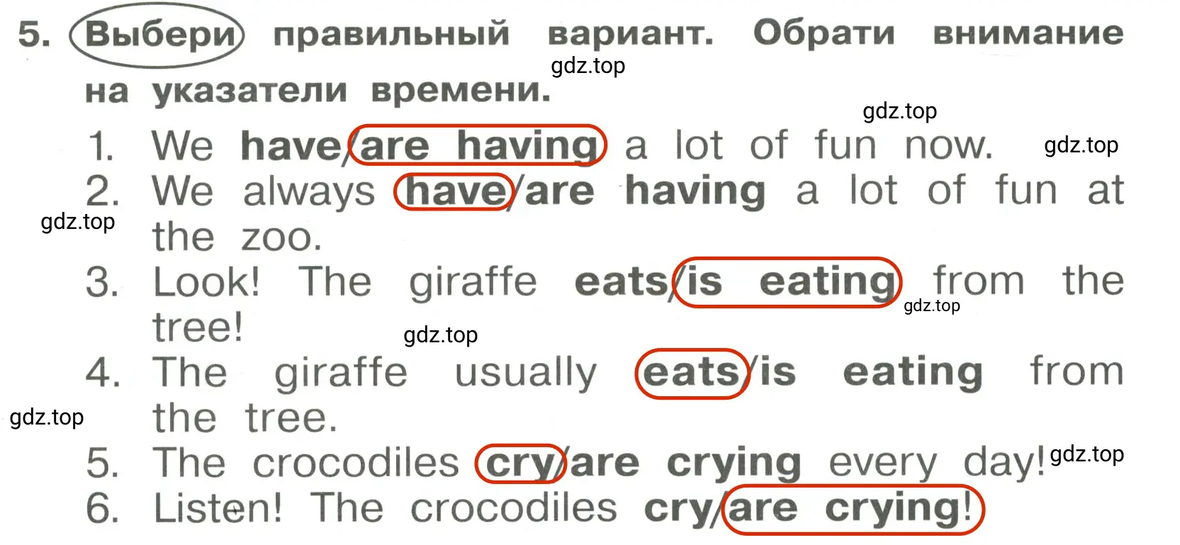 Решение 3. номер 5 (страница 64) гдз по английскому языку 4 класс Быкова, Поспелова, сборник упражнений