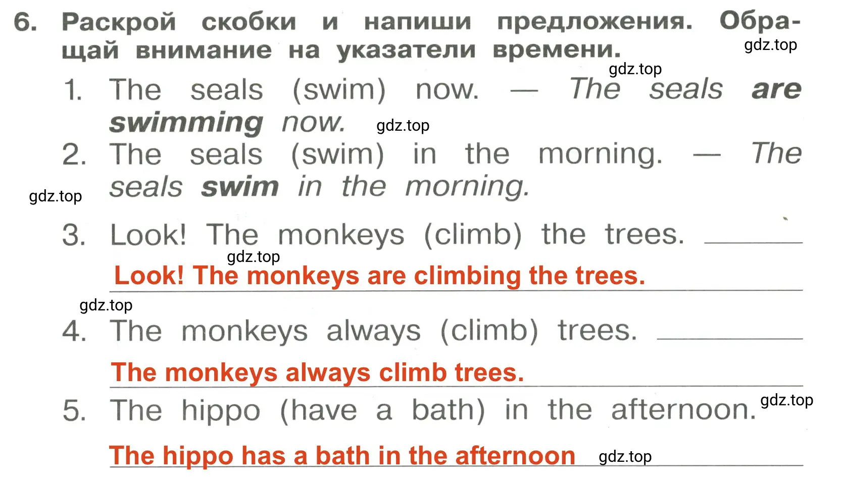 Решение 3. номер 6 (страница 64) гдз по английскому языку 4 класс Быкова, Поспелова, сборник упражнений