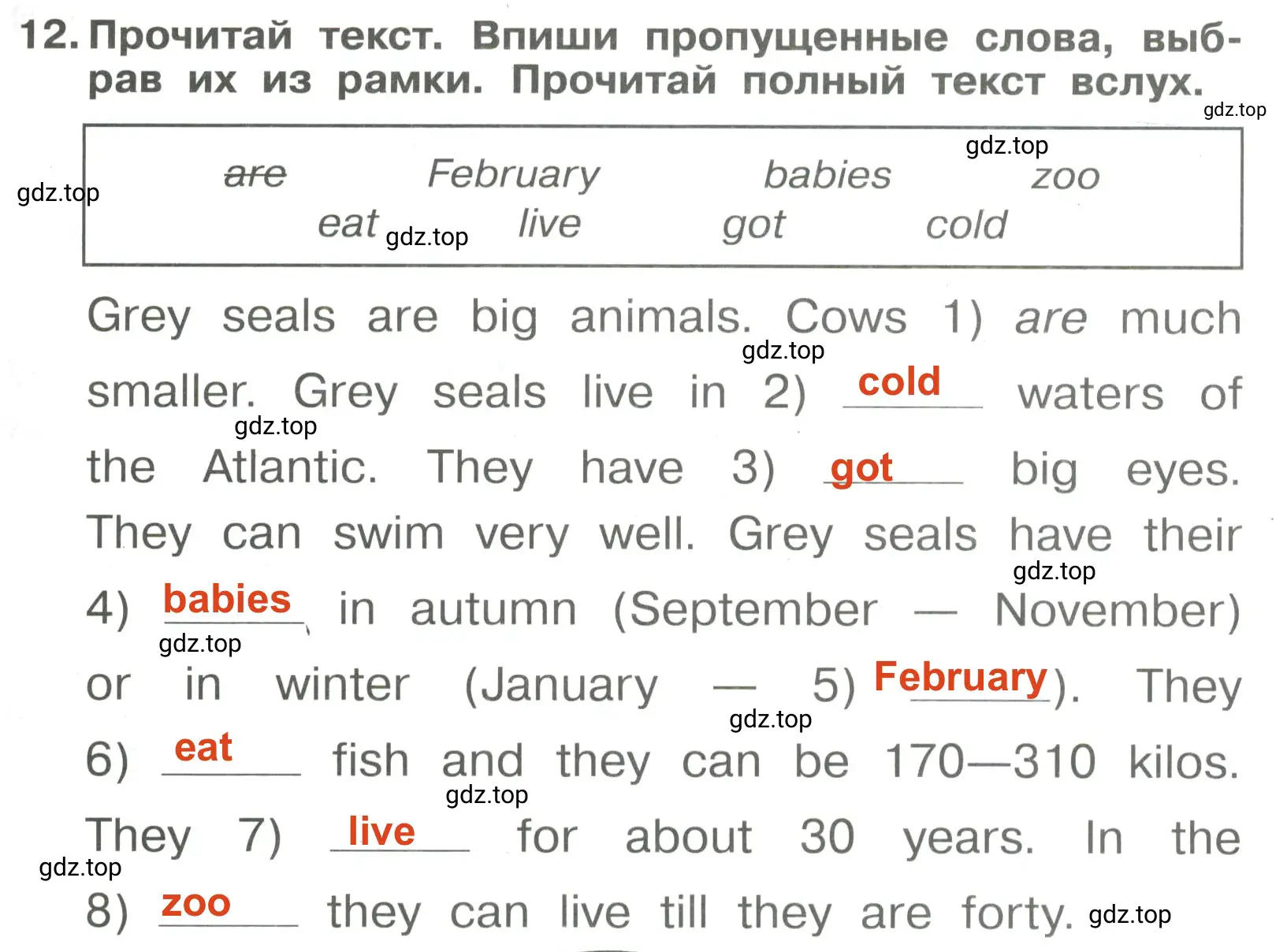 Решение 3. номер 12 (страница 73) гдз по английскому языку 4 класс Быкова, Поспелова, сборник упражнений