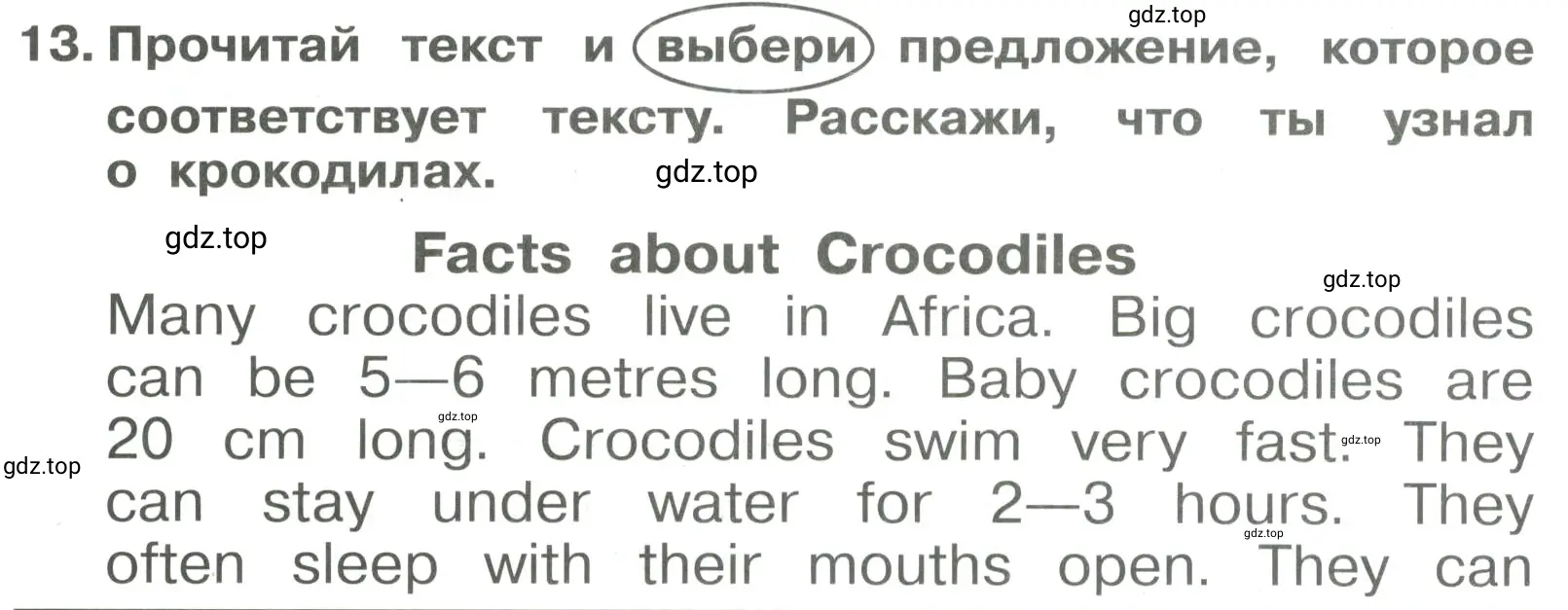 Решение 3. номер 13 (страница 73) гдз по английскому языку 4 класс Быкова, Поспелова, сборник упражнений